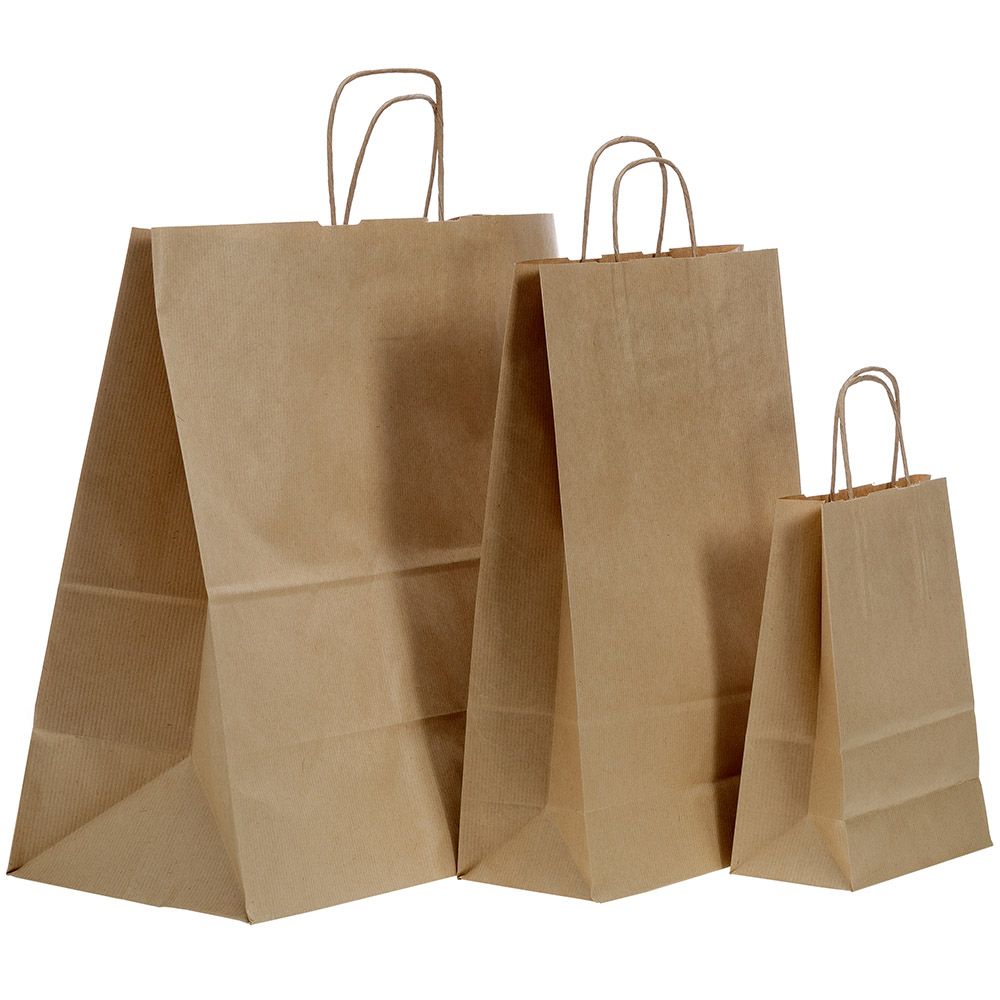 paper twist handle bolsas